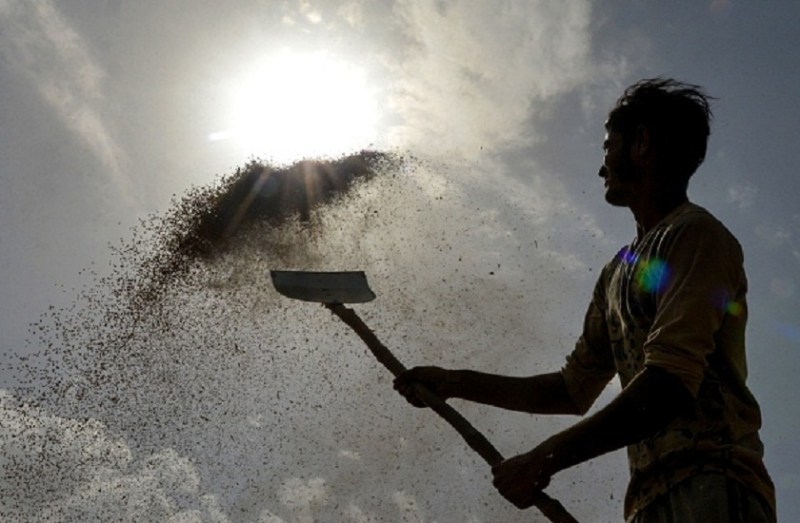 in 1923 Chennai started to celebrate international labour day