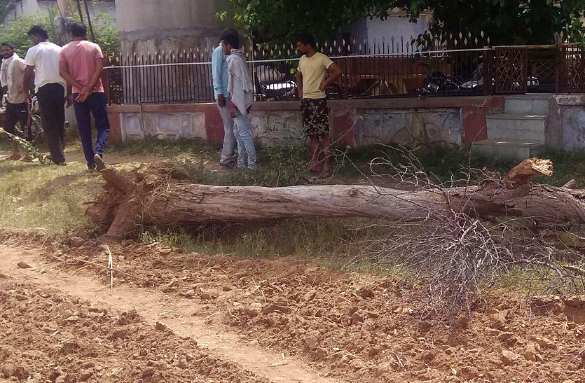 इलाके के बोपिया गांव में मंगलवार शाम को पेड़ काटने को लेकर हुए विवाद में एक युवक प्रदीप की हत्या कर दी गई।