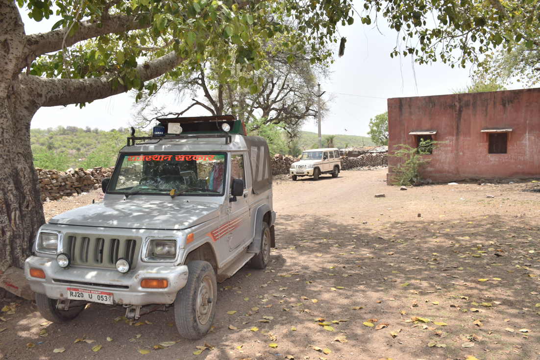 Tigers move to panic in village, department warns