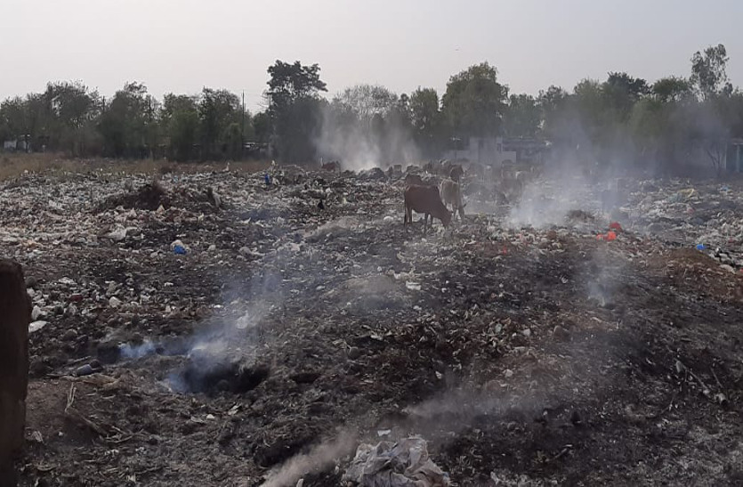 नहीं बना एसएलआरएम सेंटर, कचरे का सौ फीसदी करना है निपटारा, पर खुले में डंप कर जला रहा पालिका, देखिए वीडियो