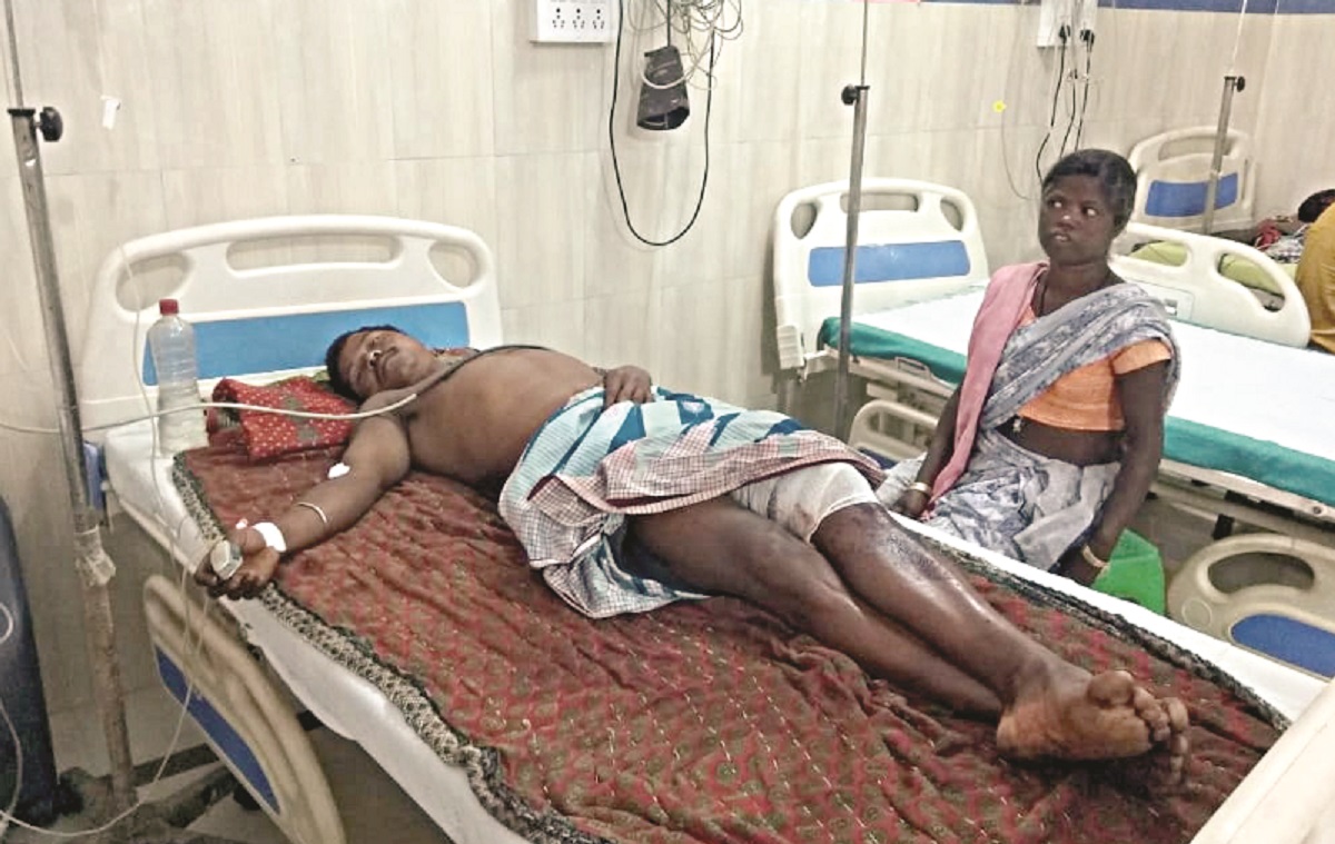 Bear attack on young man in Jashpur Chhattisgarh