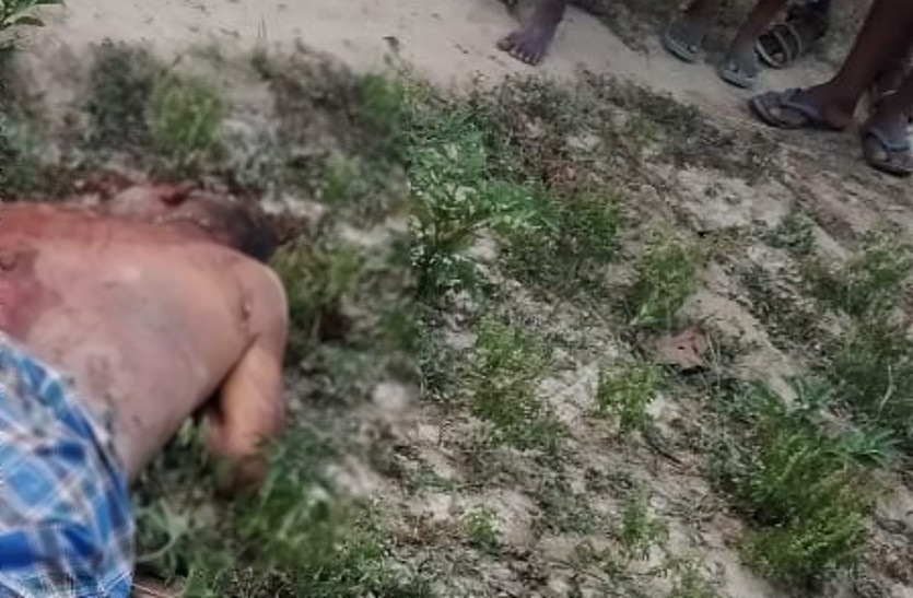 Breaking : रात में लधुशंका के लिए बाहर निकले रिटायर्ड फौजी को दंतैल हाथी ने सूंड़ से लपेटकर पटका, फिर कुचल कर मार डाला