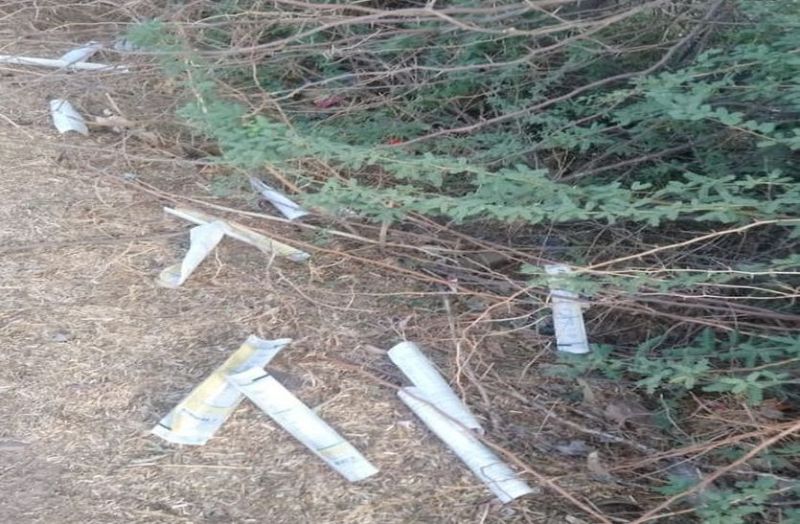 पास झाडिय़ों में पड़े बिजली के बिल।