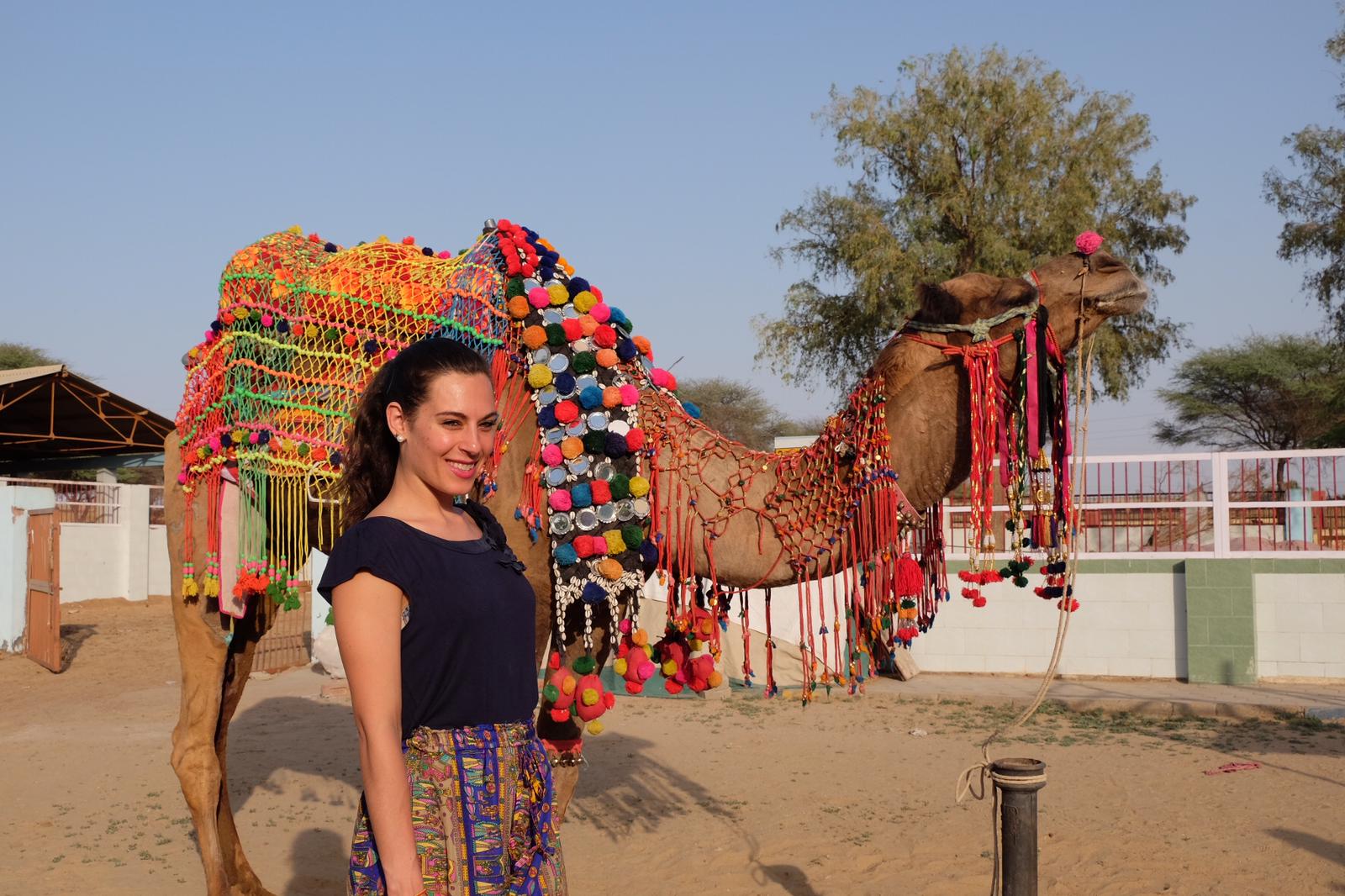 Tour operators from 47 countries are thrilled to see camels