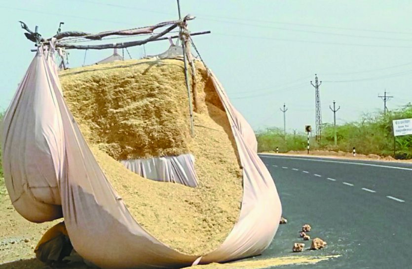 Fodder filling more than capacity in vehicles, cause of the accident