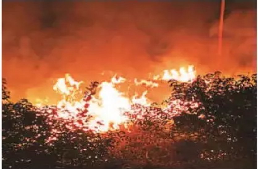 bhopal farm fire