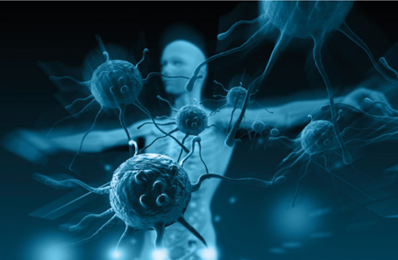 immunotherapy-is-effective-for-the-treatment-of-cancer