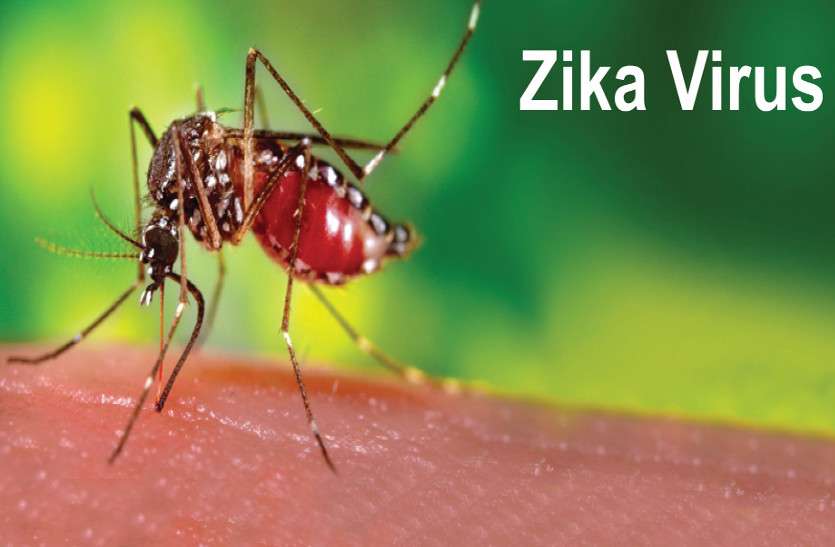 Zika 
