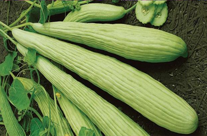 cucumber-is-beneficial-for-weight-loss