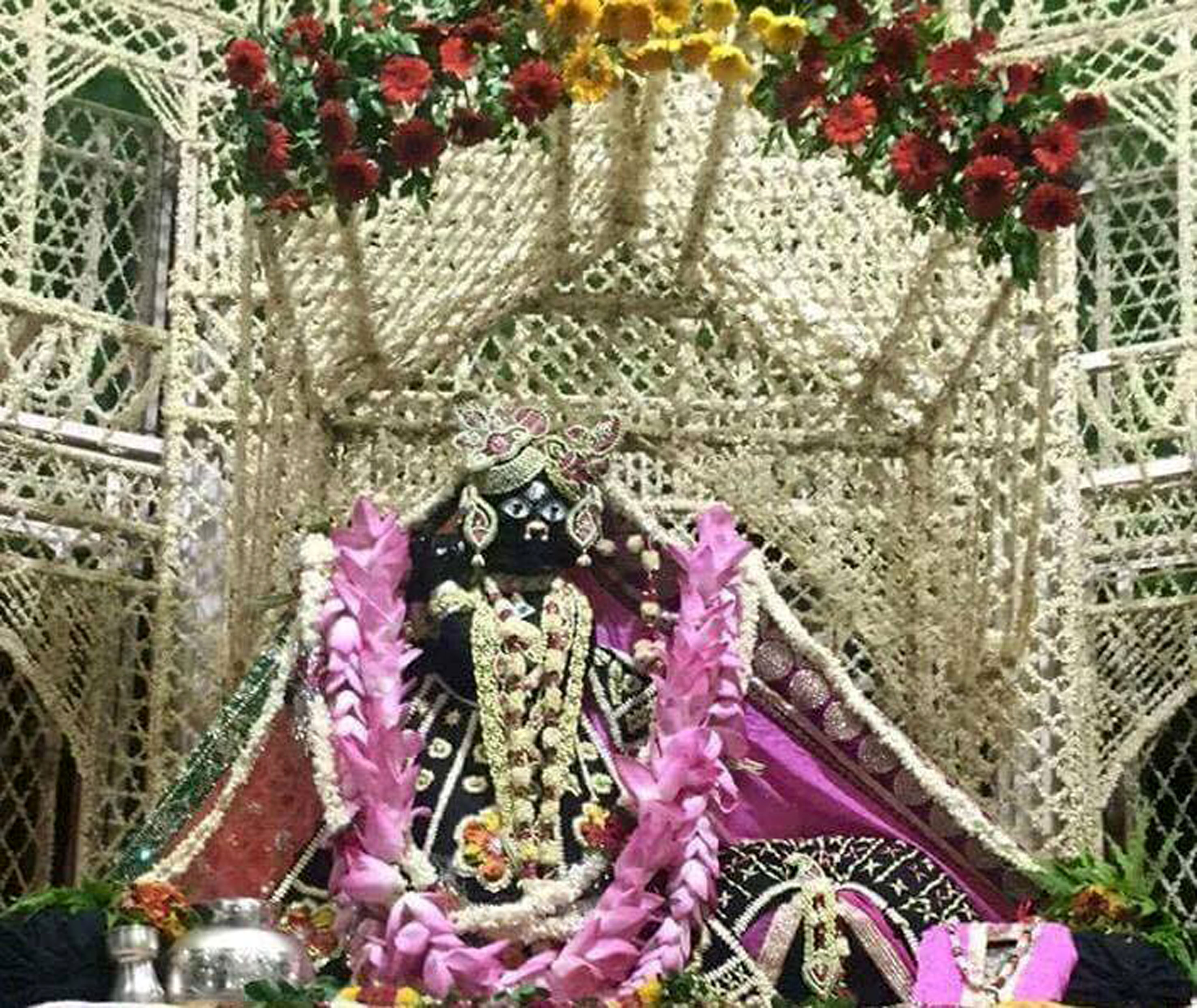 Banke bihari charan darshan
