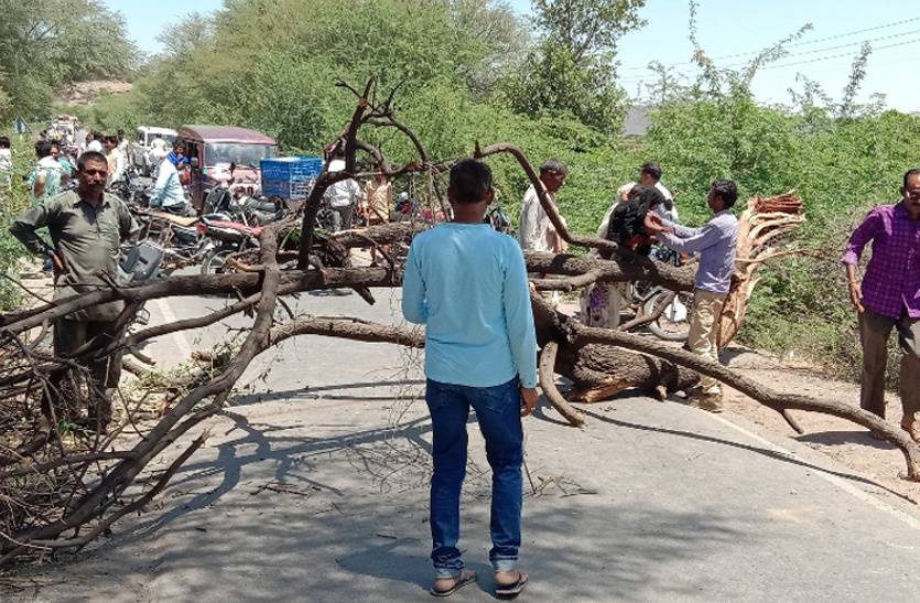 जामुन के पेड़ पर चढ़ पत्ते तोड़ रहे किसान को लगा हाई वोल्टेज करंट, दर्दनाक मौत से भड़के लोग, 5 घंटे हाइवे जाम