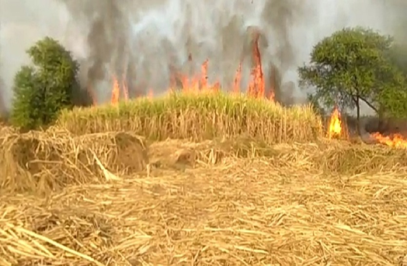 Burning cane cane of 1.5 acres due to the fire, the demand of the farm