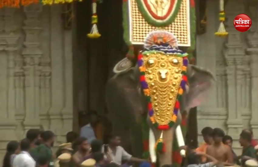 Kerala: Elephant Thechikottukavu Ramachandran