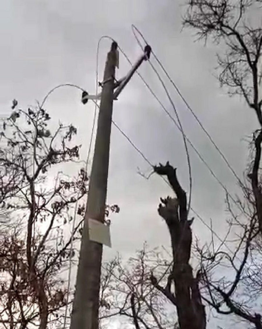 singrauli in Power wire stolen, power supply of many village stalled