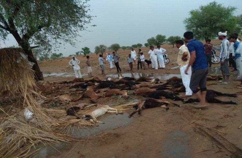churu news