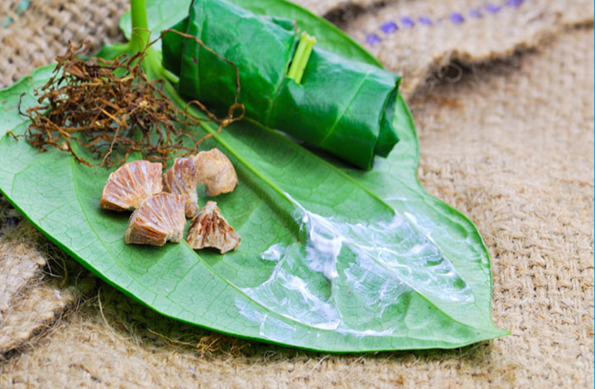 get-health-from-pan-leaf