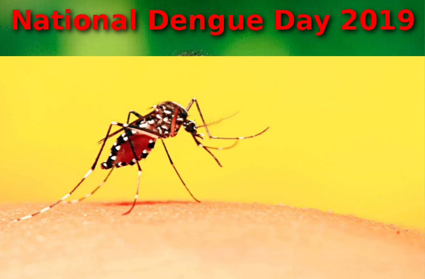 national-dengue-day-ayurvedic-and-homeopathic-methods-for-dengue