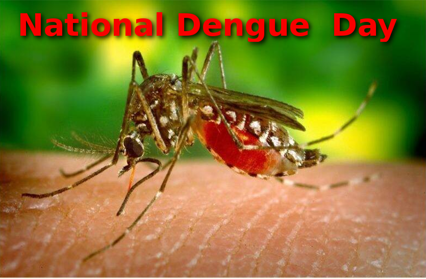 national-dengue-day-2019-know-about-dengue-symptoms-treatment
