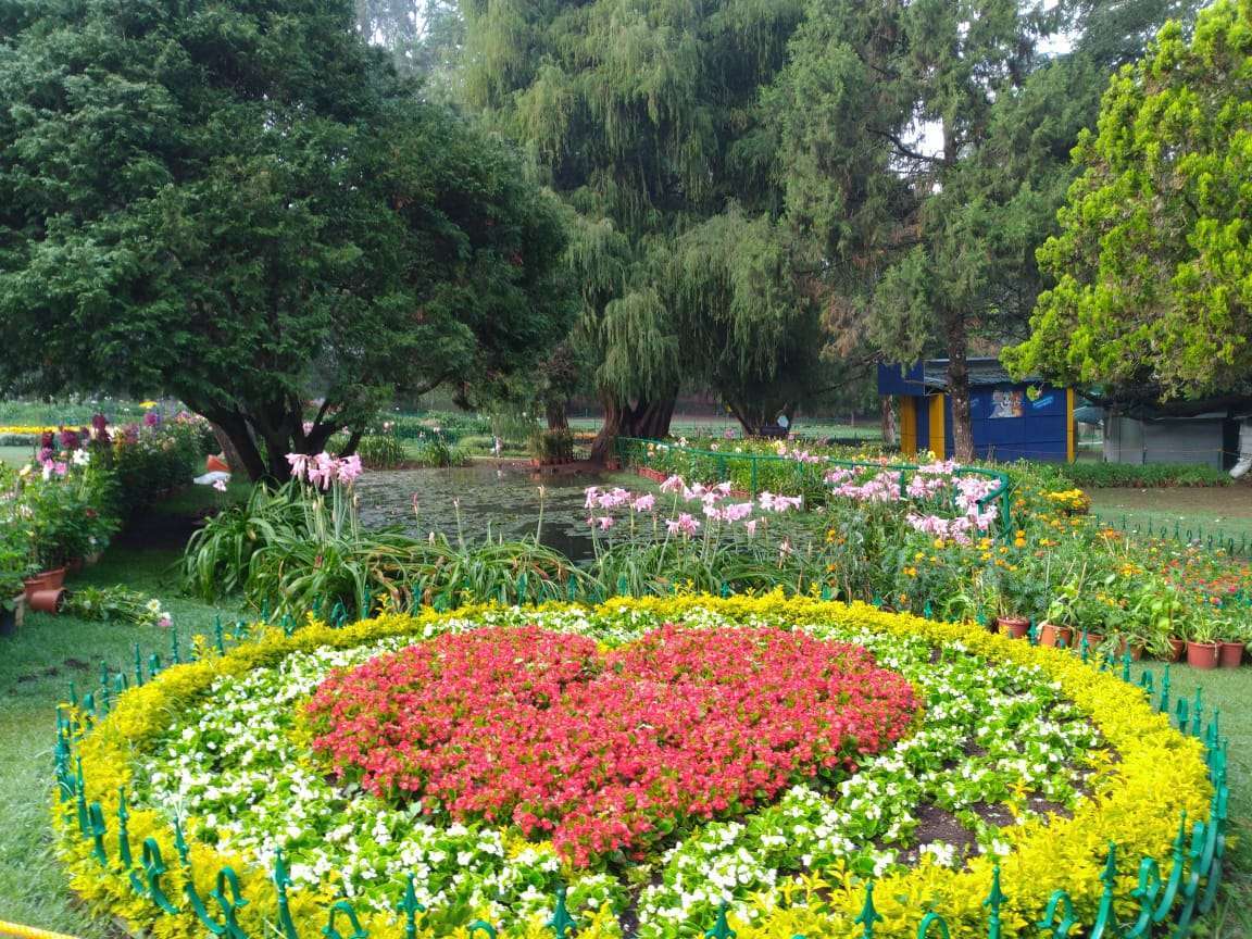 PICS: सैलानियों के स्वागत में सजा ऊटी, फूलों का मेला कल से