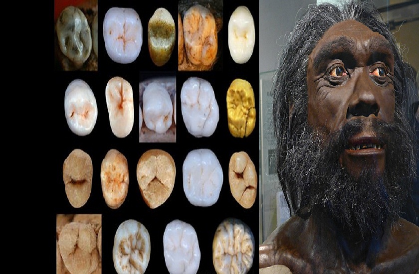 study says modern humans diverged from neanderthals