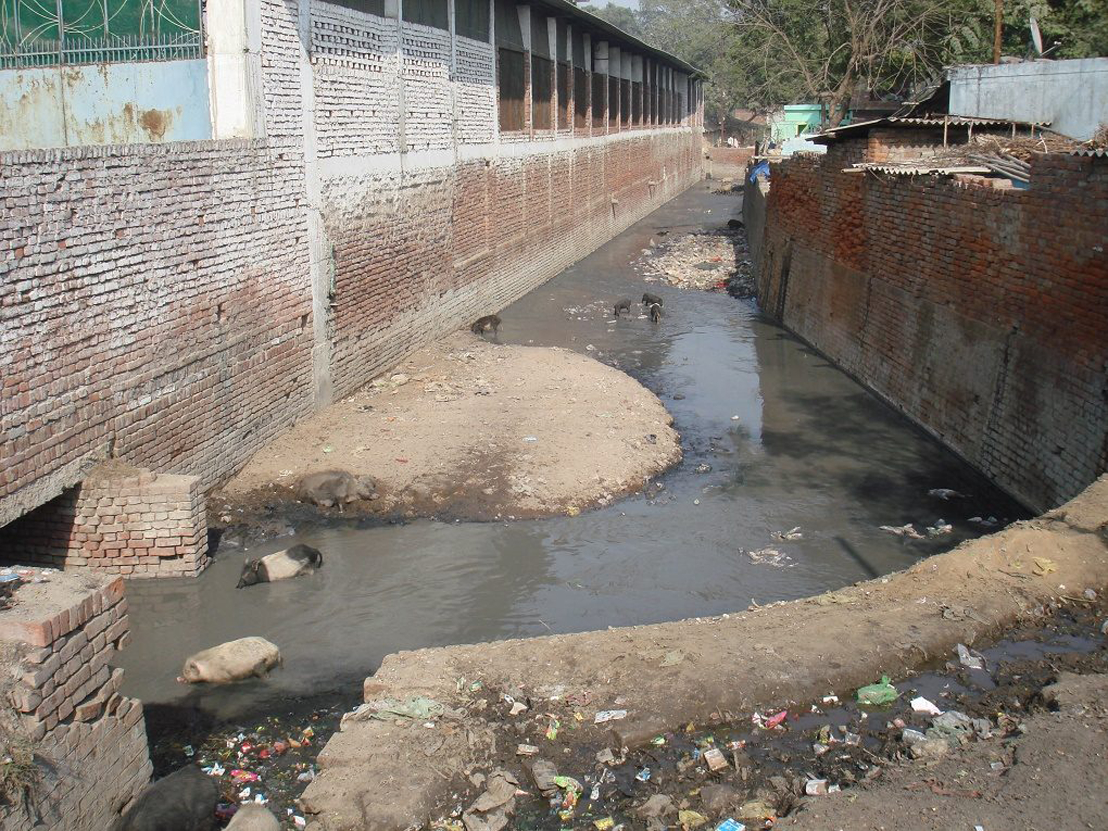 Drains in kanpur