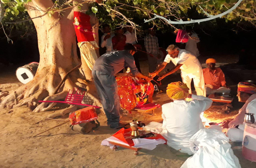 Unique Marriage of A Tree : दूल्हे दुल्हन की जगह एक पेड़ की शादी कराई