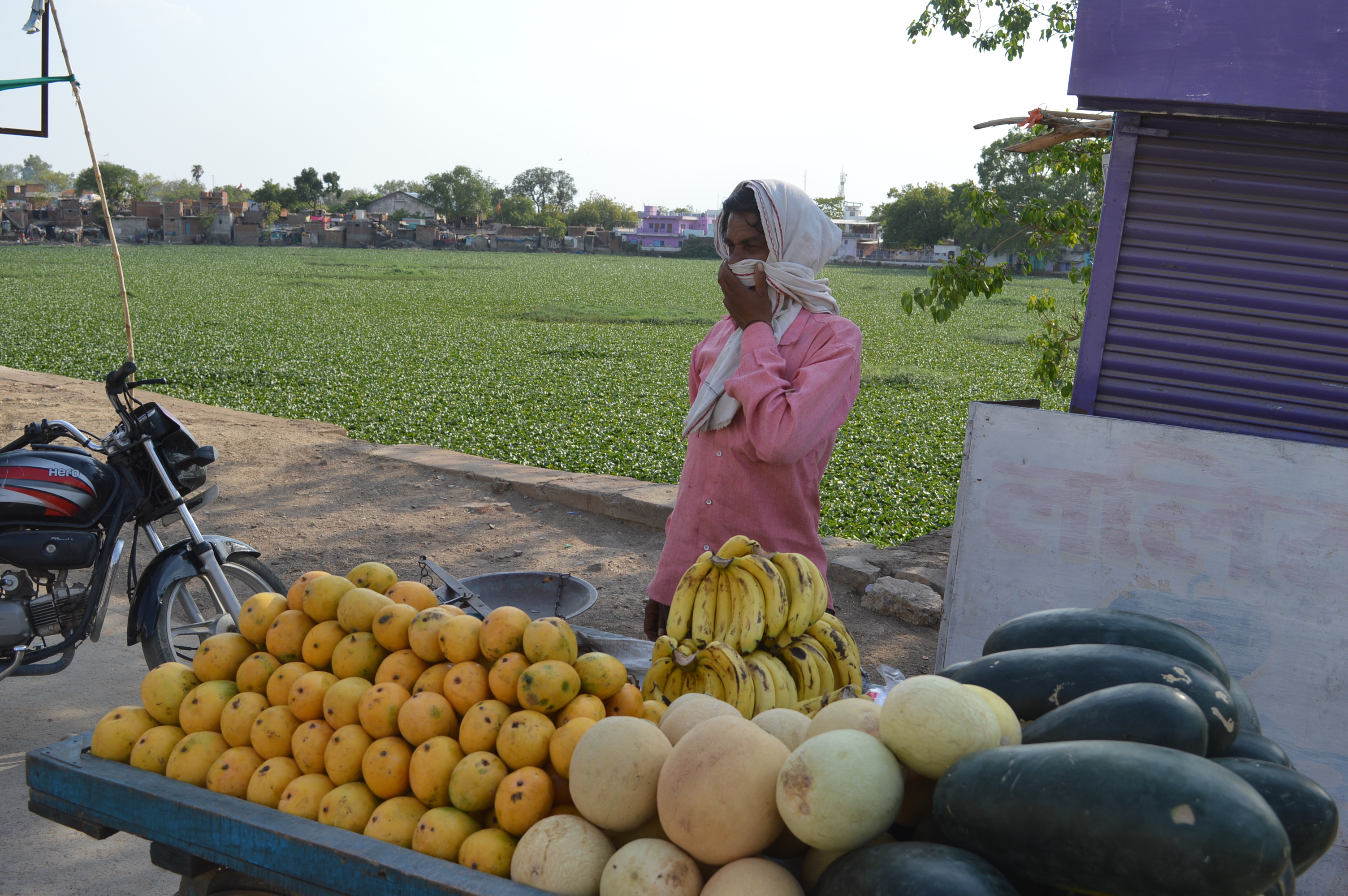 Vegetable market, including market troubled region are passer coming