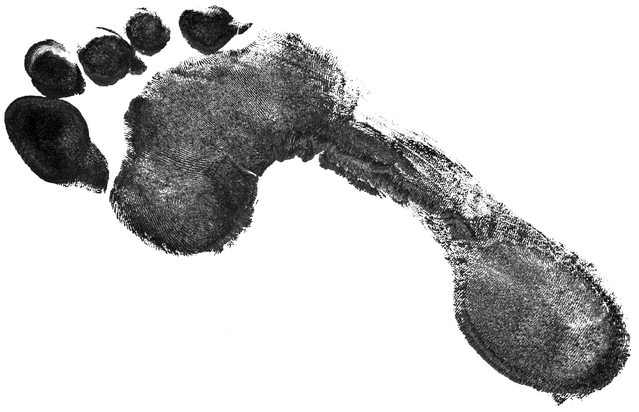 chili, footprint, scientist, research