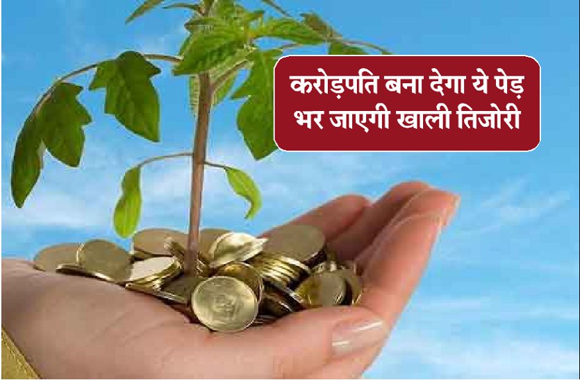 vastu shastra tips for money in hindi,