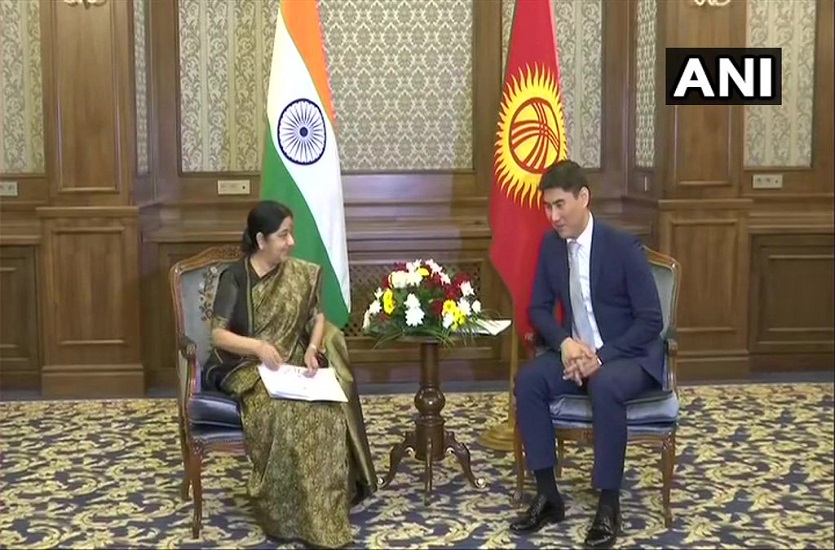 Sushma Swaraj meets Kyrgyzstan Foreign Minister Aidarbekov