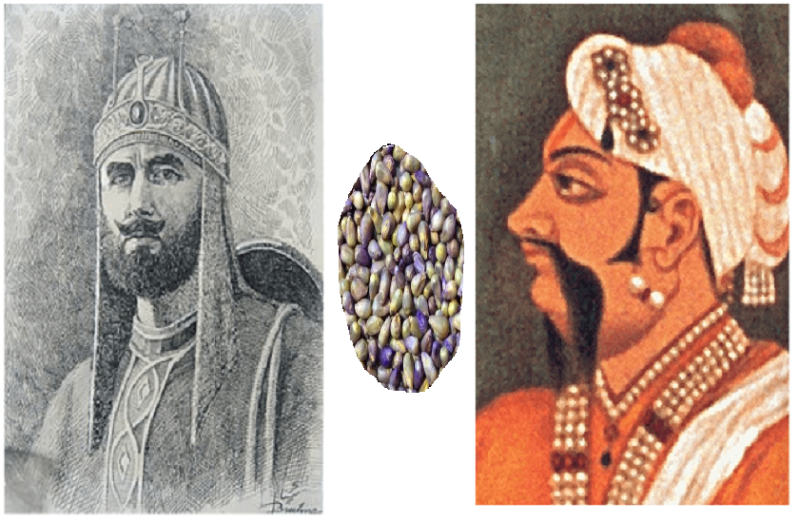 battle of giri sumel when sher shah suri almost lost his kingdom