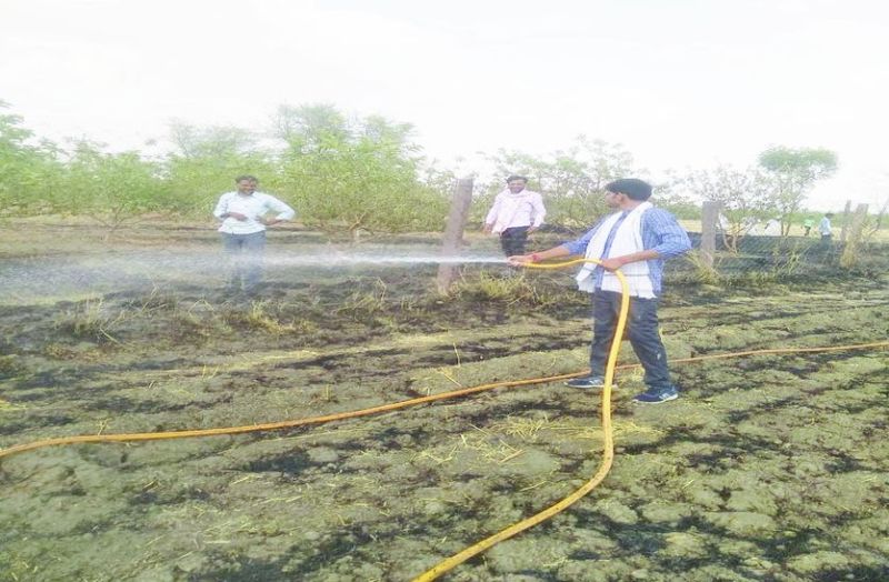 बगीचे में लगी आग को बुझाते लोग।