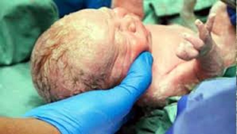 Kolkata, Kolkata, West Bengal, India