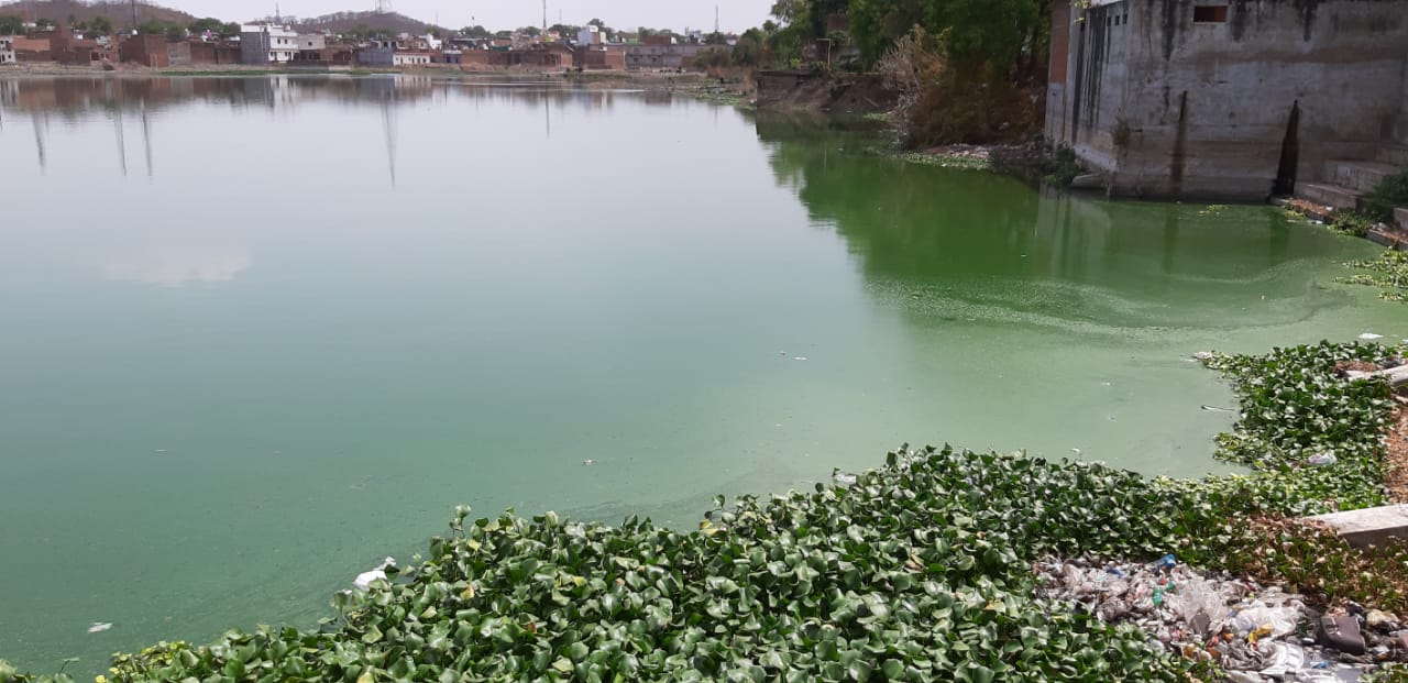 Gayatri temple was constructed after seeing the beautiful lake, now it becomes the same tank