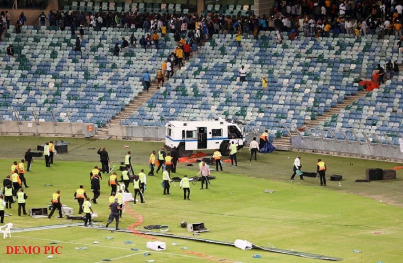 in 2011 cricket match was once delayed due to life sized tiger toy