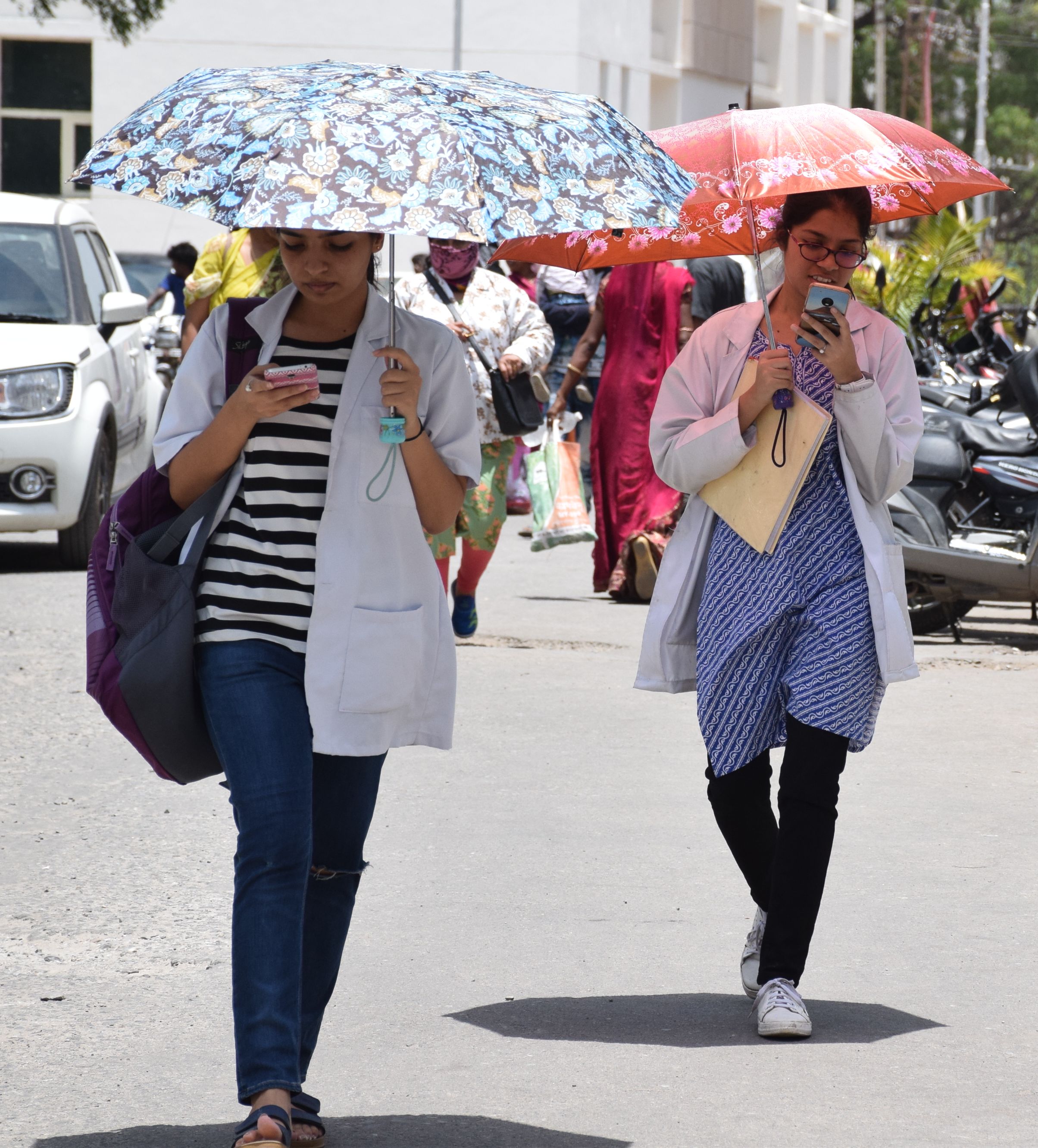udaipur temperature