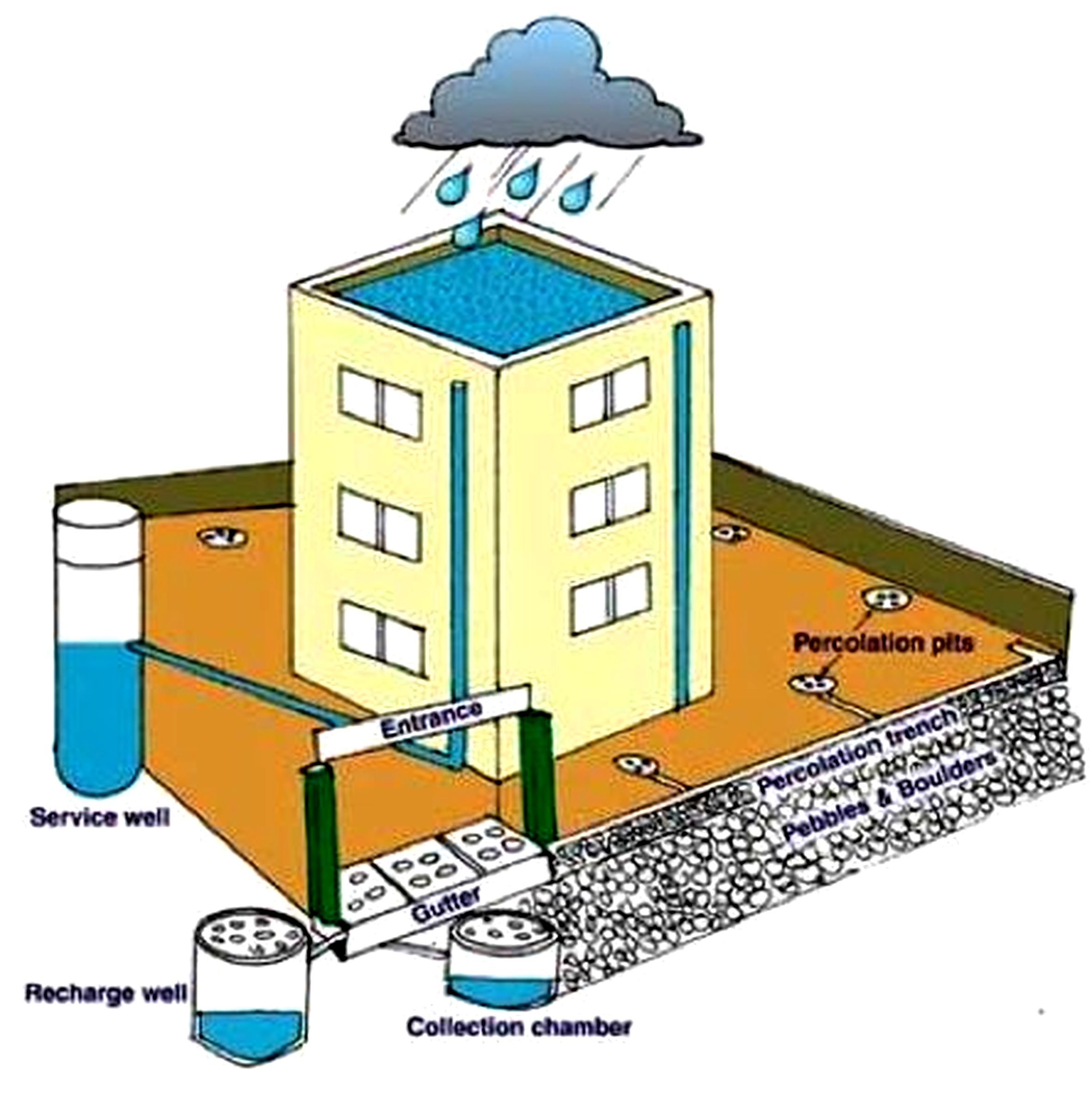 Roof water harvesting system