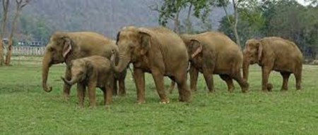 kollkat West bengal