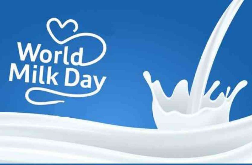 world milk day 2019 : पशु आहार के दाम बढऩे से खतरे में डेयरी उद्योग