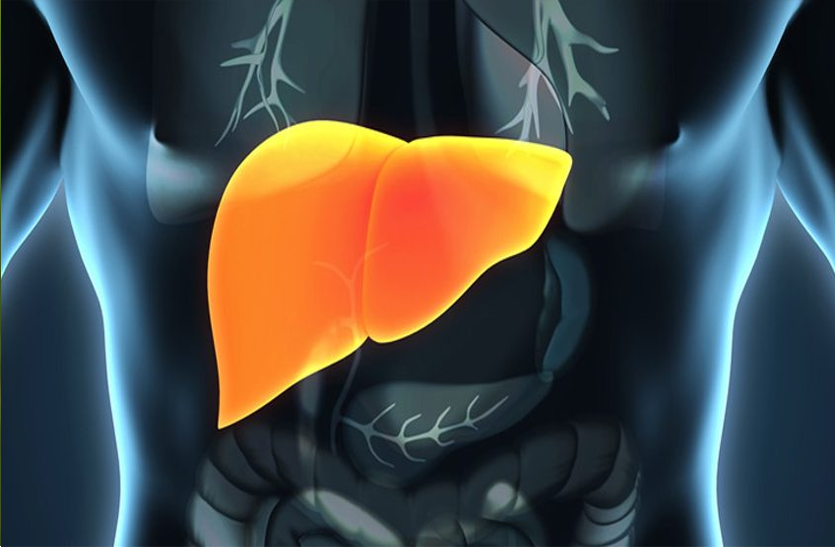 medicines-are-beneficial-for-diseases-related-to-liver