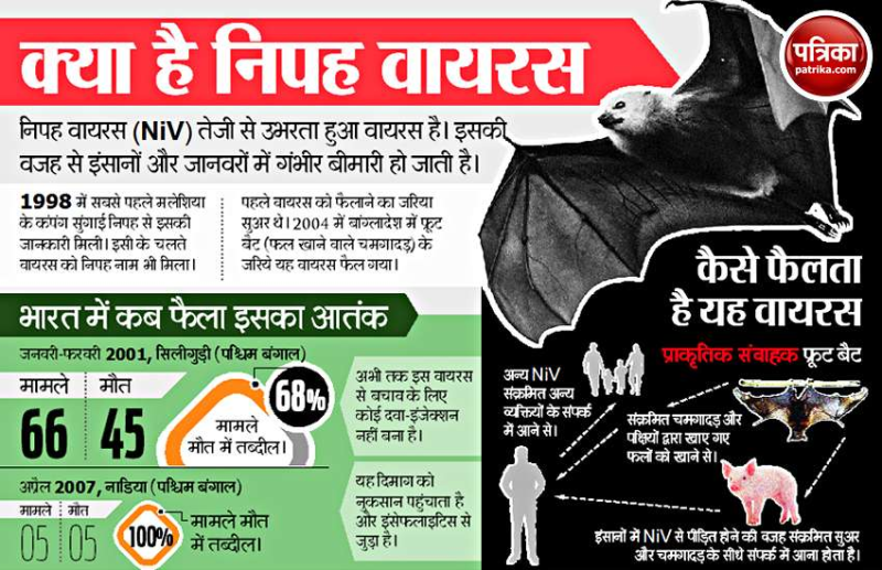 nipah virus