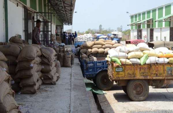 साइंखेड़ा वेयर हाउस में समर्थन मूल्य की खरीदी वाली उपज को भंडारण ग्रह में रखते हुए मजदूर