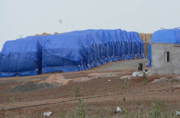 डेढ़ लाख क्विंटल के लिए बने कैप