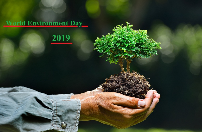 world environment day ismail bhai johar took initiative to save environment