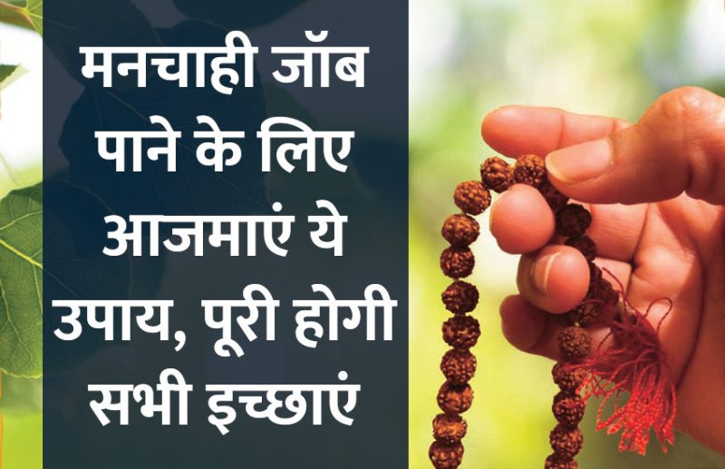 jobs,jobs in india,Govt Jobs,career courses,career tips in hindi,