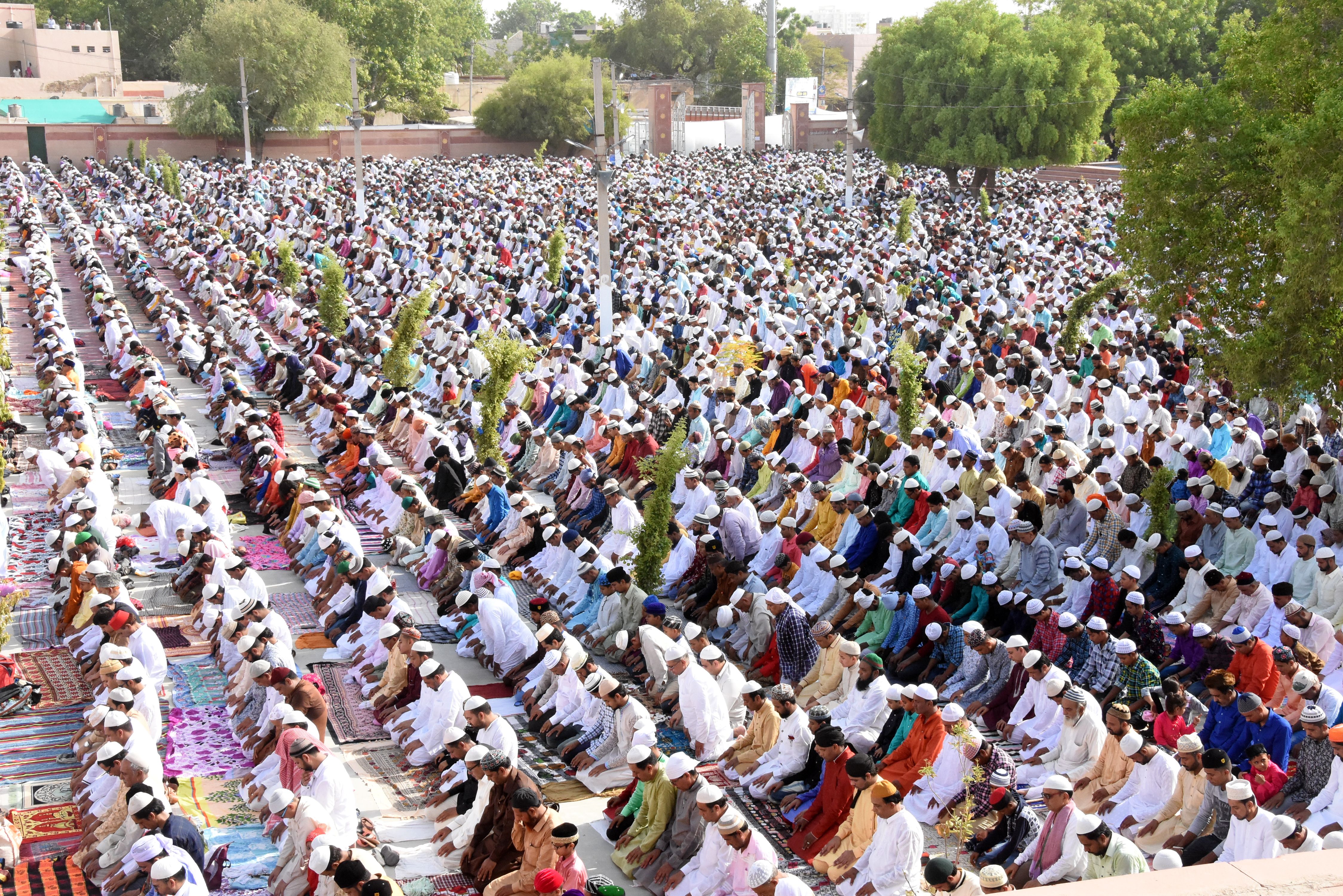 eid celebration in bikaner