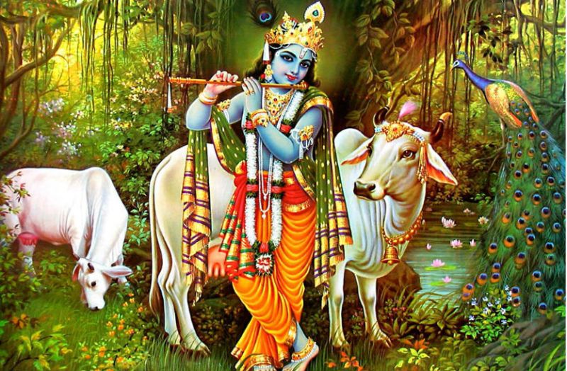 krishna