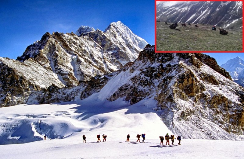 in nepal 8 people died while collecting himalayan viagra