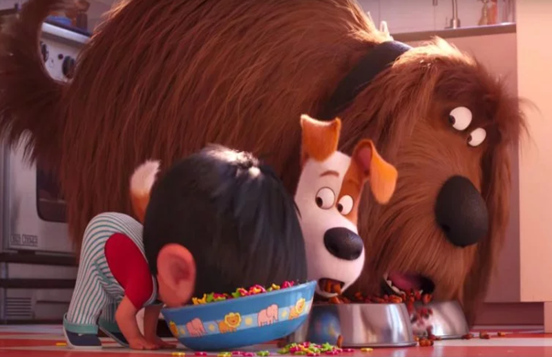 Animation movies he Secret Life of Pets 2
