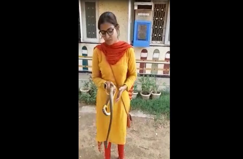 poisonous snake catcher girl video goes viral